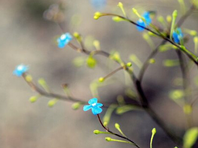 �߸���Ů��Ψ������