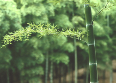 Ψ������������ȫ�������ġ��ϳǿ�