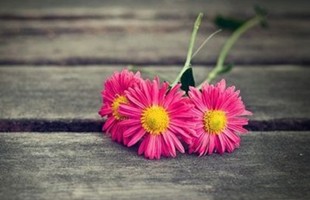 �˸��ֵ��˸и����������t�İ����ǨJ������