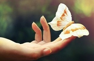 �������˵�����QQ�ǳƣ�ͯԒ�Y���O�����