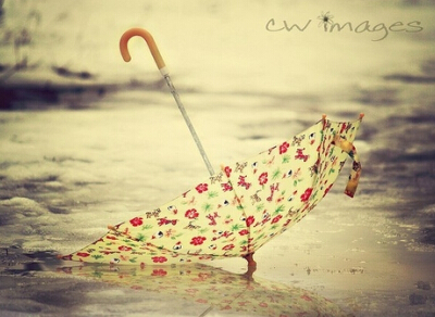 �ſ��˸�������ȫ