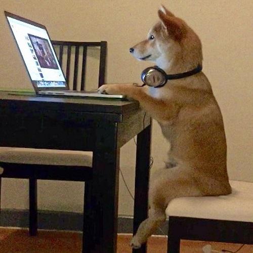 ����������ĳ������ֳ���ǰ�ص�ʱ�ָ�-�ɰ���