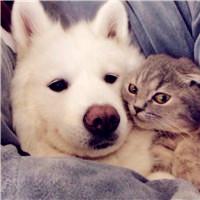 ���⿪�ʵĸ�����ȡ���ִ�ȫ���ֹ�-�ɰ���