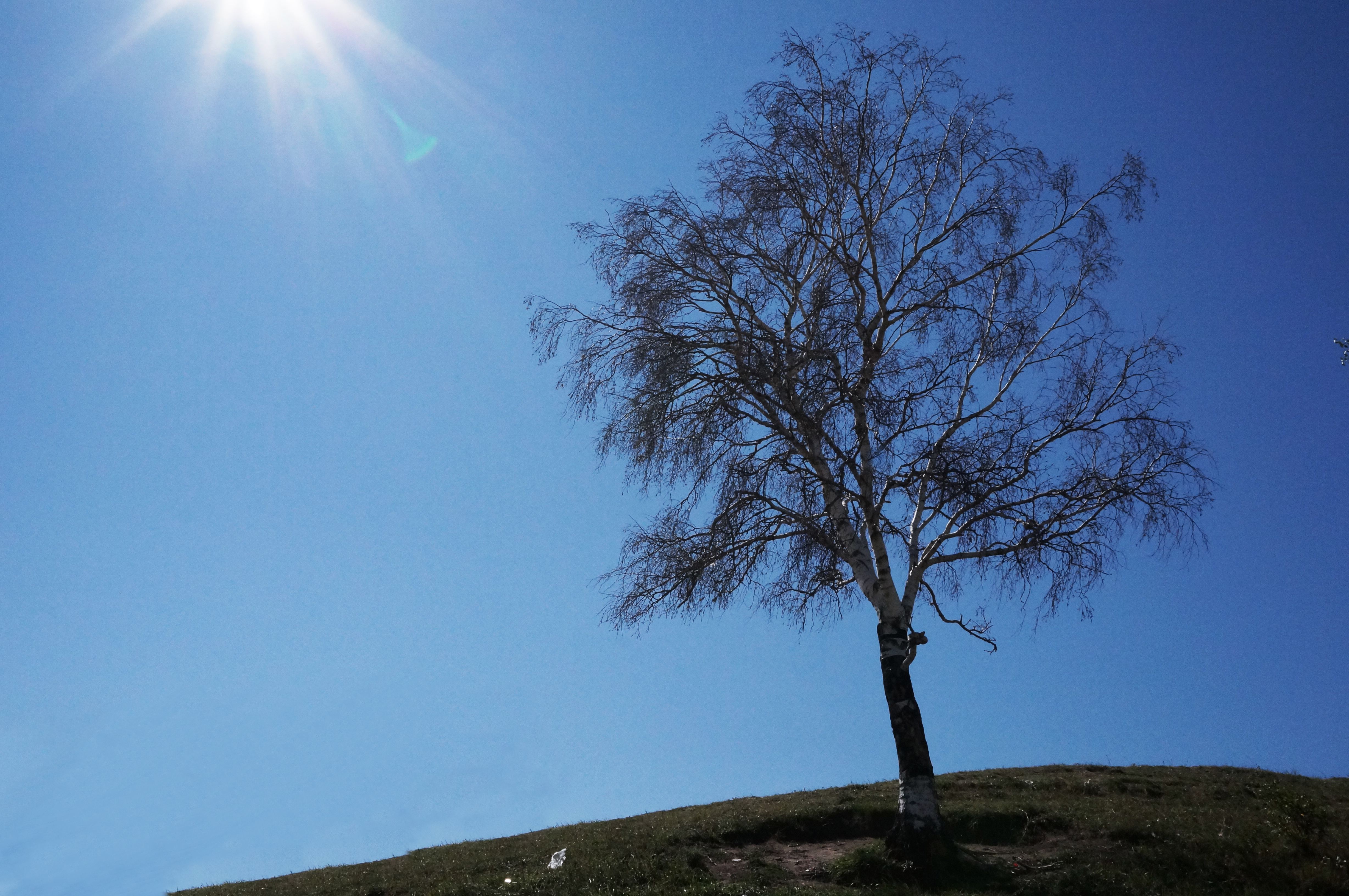 孤单寂寞的繁体字网名集,带点小悲伤