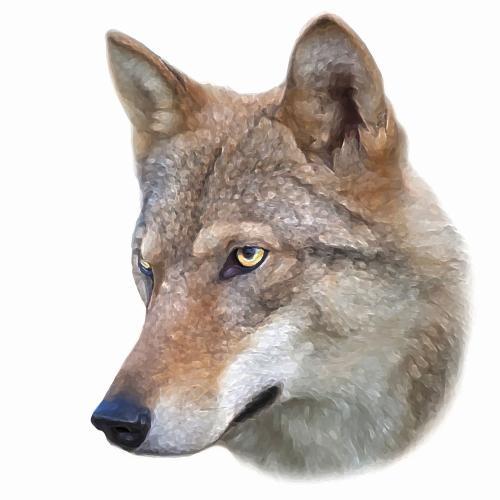 ��һ��ק�ĳ��ﹷ�������ִ󹫿�-�ɰ���