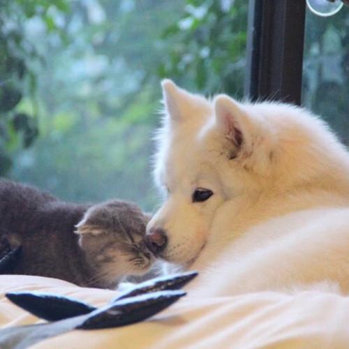 �������е����ճ�������һ������-�ɰ���