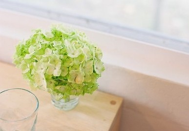 �ÿ���ʮ���������������ֽǡ������ŵ�ӣ��