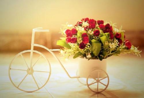 ����ȥůů�����֣�����˲��о���ů����������