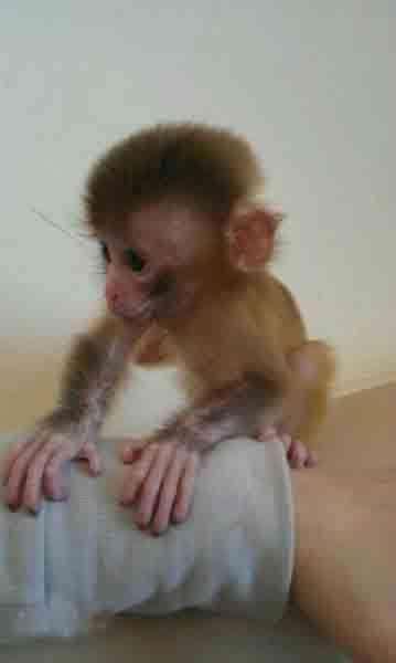 �ϱ��´����������������Ƥ-�ɰ���