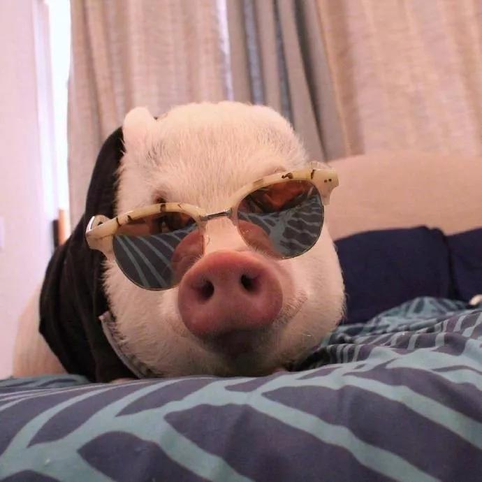 ˧�����ǵĳ����������ͷ�ı���-�ɰ���