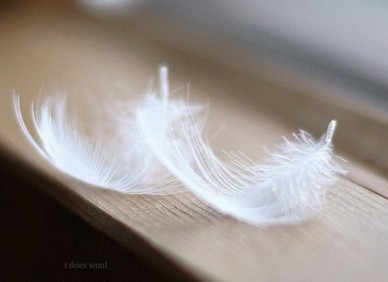 ��Լ����������Ӳ�ſ�����š�