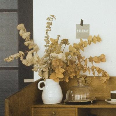 �������˵������������Ӵ˲���̸����-�ɰ���