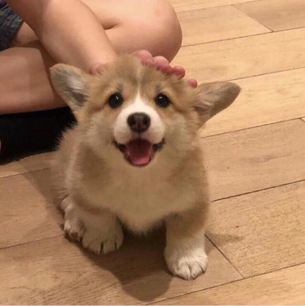 ���͵ĳ�����������������ֽ�׳-�ɰ���