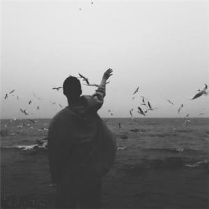 ��ɣ�¶�����������͸����-�ɰ���