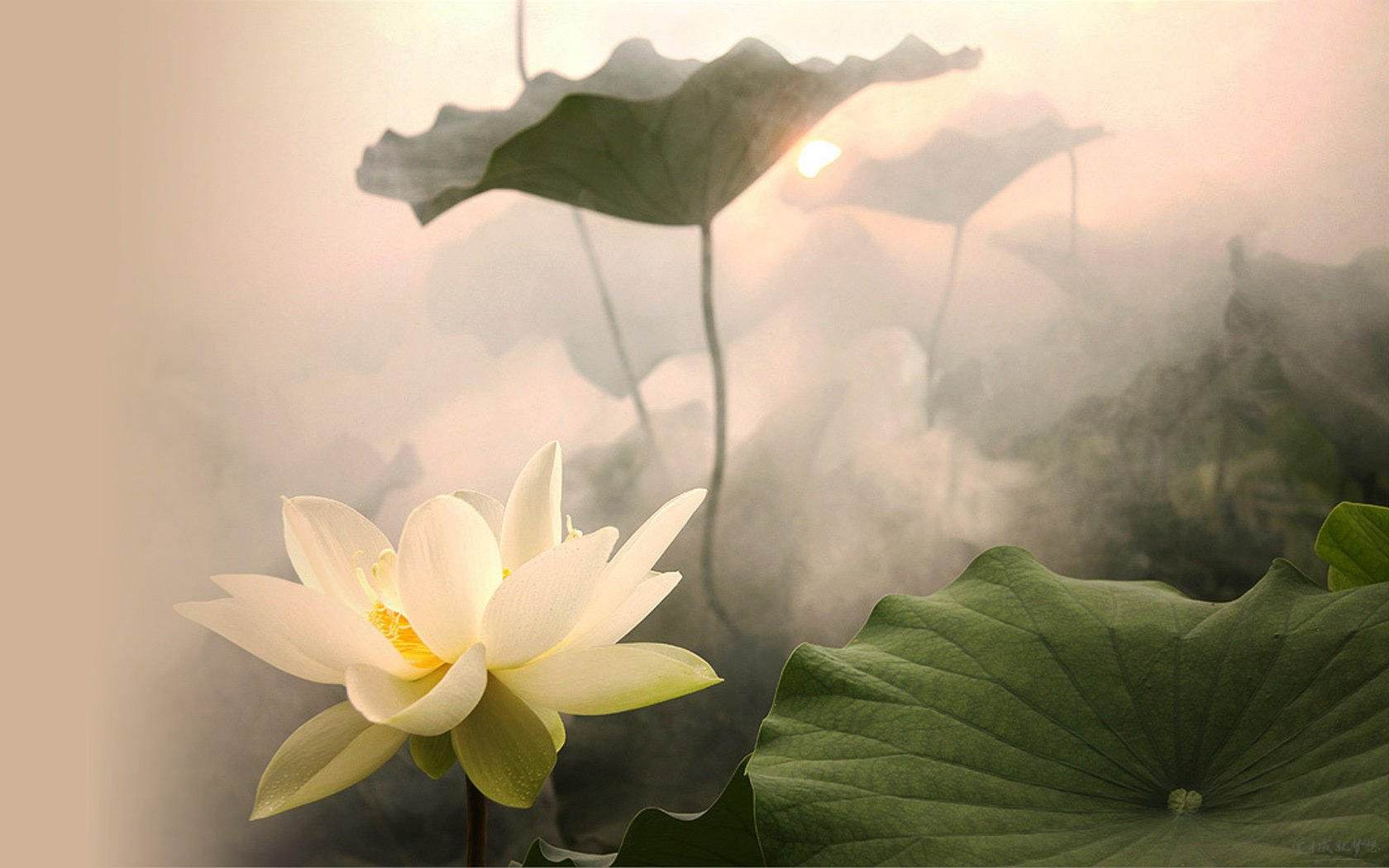 ����ʮ�����ֲ������ŵ�ʫ������