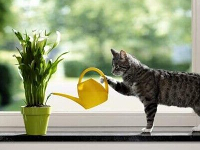 7个字的网名不带符号