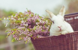 ���οɰ����֣�ѧУFUCK������d���ഺ