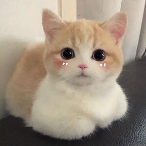 è��������ִ�ȫ���׼�-�ɰ���