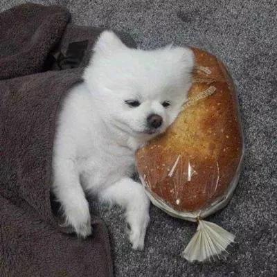 ���ȳԼ����ִ�ȫ��Ц�ǳ���ƤǷ��