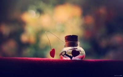 ���������������������ÿ�䶼���黰