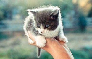 好听的陌陌名字:蓦然回首,身后一群狗