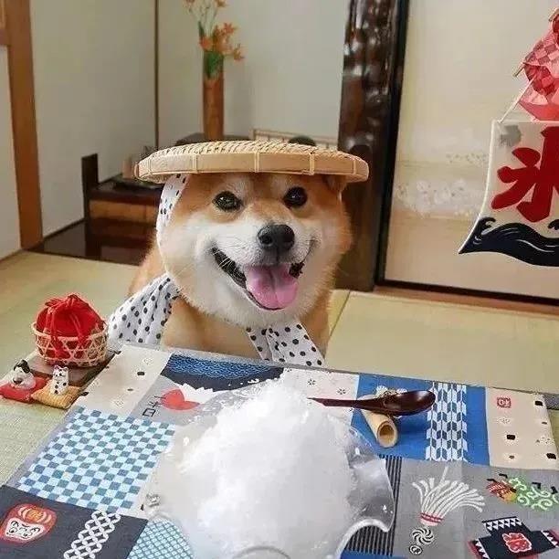 ����ߴ�Ĺ����������ִ�ȫ�����ɰ���