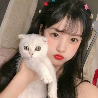 ��ܰ�ÿ���������������治һ��