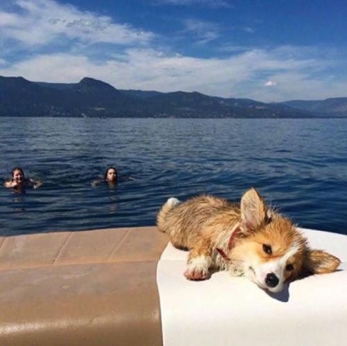 ���ȴ��ȵ�С�������ִ�ȫӵ������С����-�ɰ���