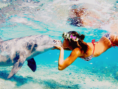 �򵥵���������