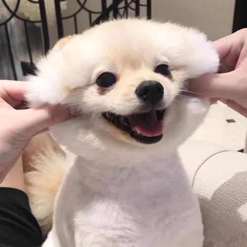 �������ﹷ�����֡����ҳϵĻ�顱-�ɰ���