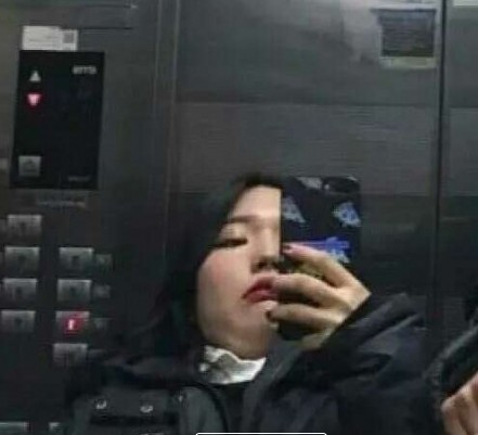 ɭϵС���¶�һ�޶�������������ѡ