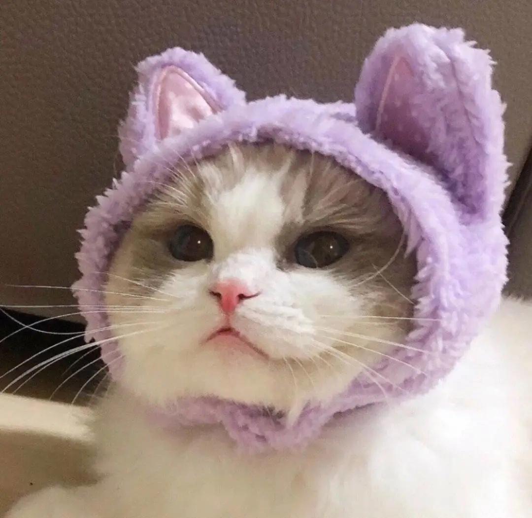 Ư���и��Գ������ֱ���Ĳ�-�ɰ���