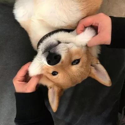 �����ĳ�����Ȥ�����������Ǹ�С�-�ɰ���