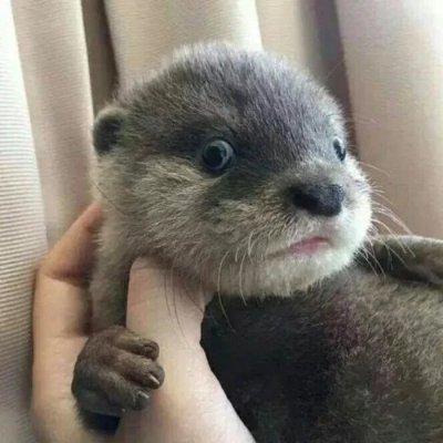 �󷽶��س������ִ�ȫ���ȵ�-�ɰ���