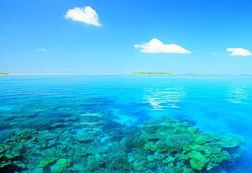 带特殊符号的四字网名:﹏淺Sè时光つ