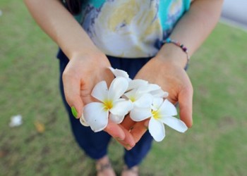 �˸��Ƿ�������һ��Ŷ�������˶�������