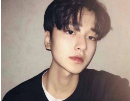 ΢�������������ǳ�