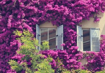 Ψ���������������ѻ����������A�ǩj