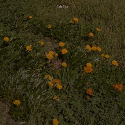 �������������΢���ǳ����һ������-�ɰ���