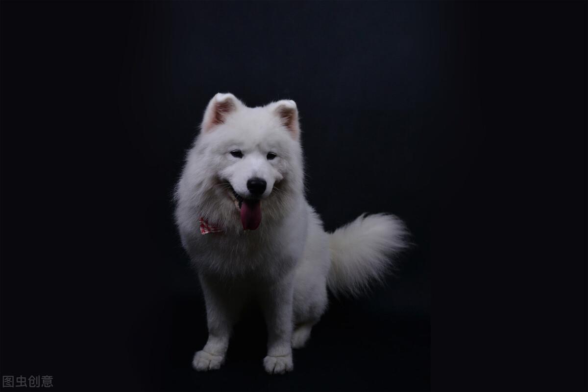 �������ﹷ�������ڸ��������ǿ�-�ɰ���