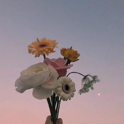 ��иŬ������־�������������ں�-�ɰ���