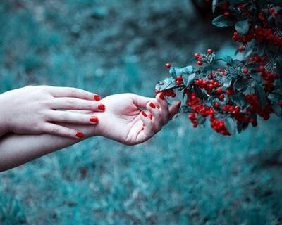 2017����Ӣ������������