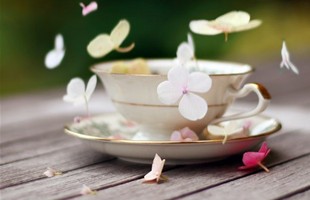 �ܺ�����yy�˸����ִ�ȫ����Щ�ˡ���Щ�¡�������