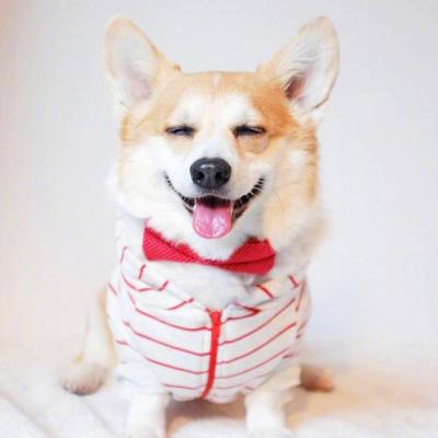 ��������ϵ�������������˾���������-�ɰ���