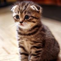 ���ȵĺ�����������־������ڳ�����ǰ��-�ɰ���