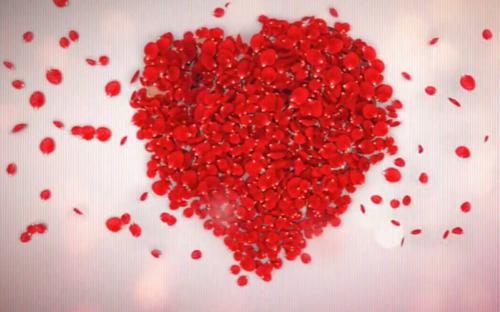 ���Ҹ����������������������ר������