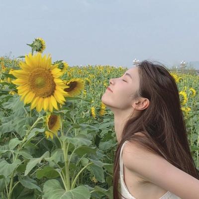 2020�ĸ�������Ψ��������Ƥ�ɰ�