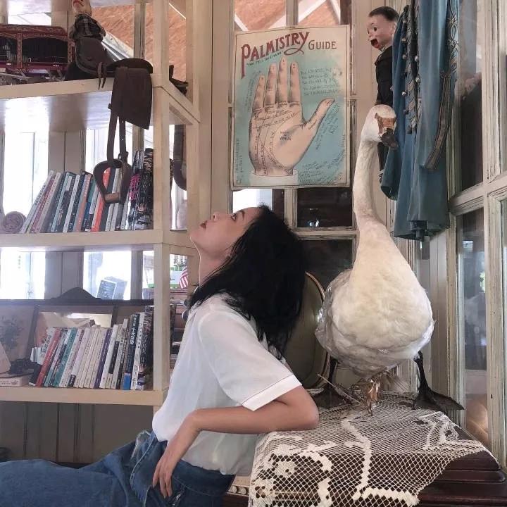 �����񵭵����������������־�ѡΨ��