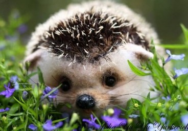 �밮���޹ص��������������಻����ô������