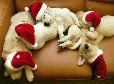 好看好听的手游名字大全